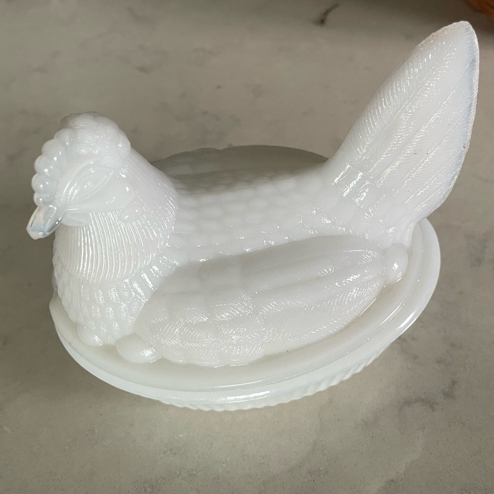 Hen on a nest
